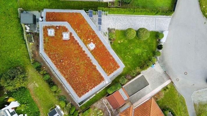 begrünte Dachfläche