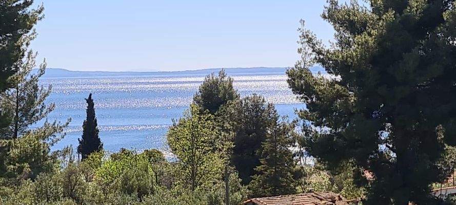 22b65e83-f78a-4be1-baeb-d3b42562022d