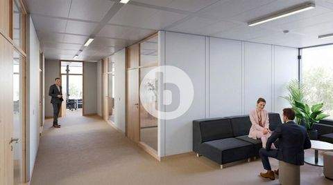 Kiel Büros, Büroräume, Büroflächen 