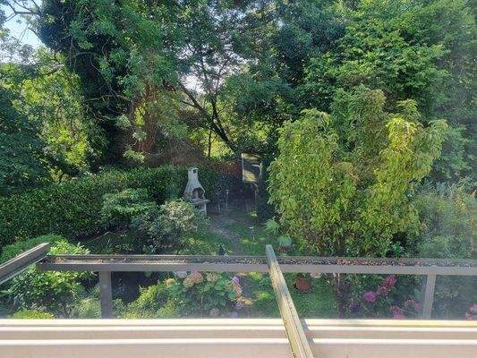 36 Blick in den Garten