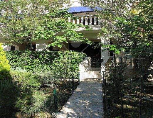 Hier findet jeder altersunabhängiges Glück