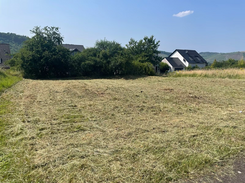 Wiltingen Grundstücke, Wiltingen Grundstück kaufen