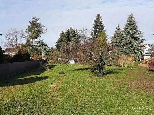 Grundstück Lindenthal Bild 1