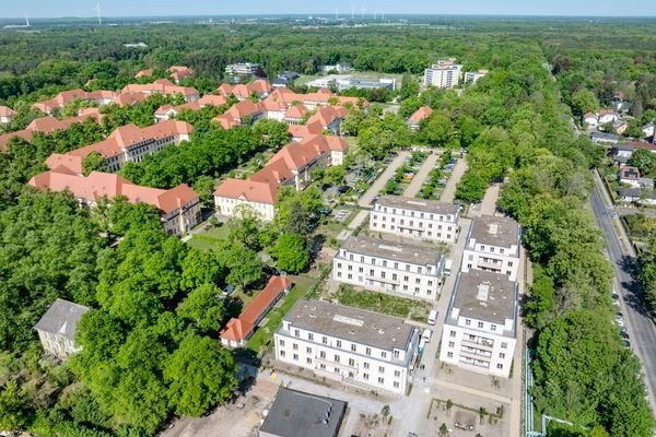 Waldgebiet Bucher Forst nebenan