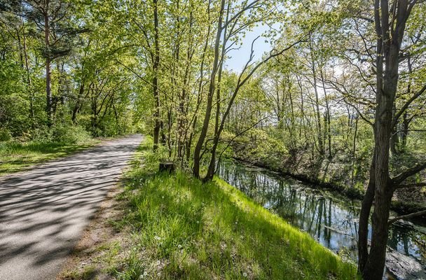 Wanderweg an der Wuhle