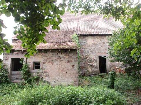 Diemeringen Bauernhöfe, Landwirtschaft, Diemeringen Forstwirtschaft