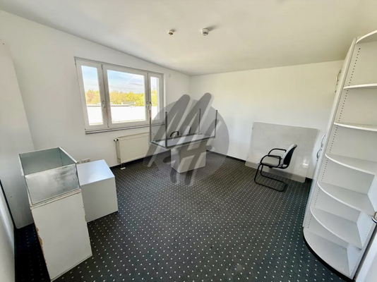 INFOS UNTER: 06171-586000