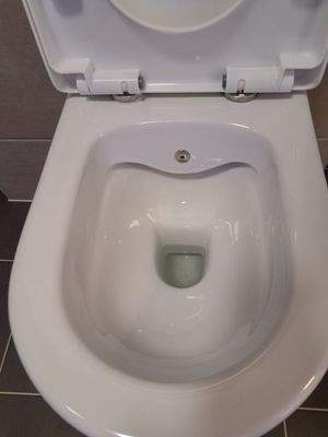 Toilette mit Bidet