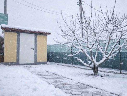 Gartenhütte KI-Bearbeitet