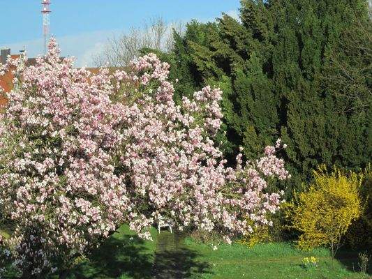 Frühlingsimpressionen