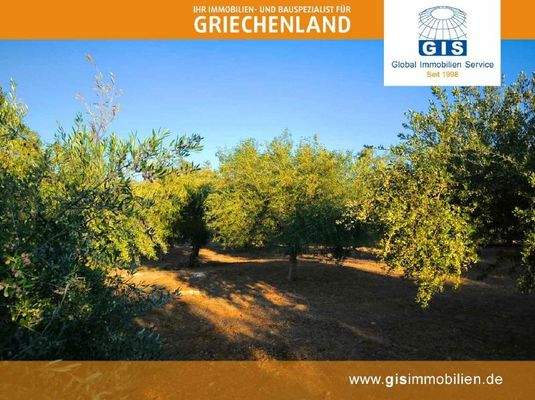 gut bebaubares Grundstück