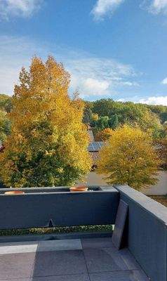 Teil der Aussicht - neues Bild folgt.jpg