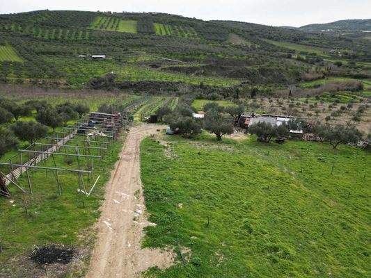 Kreta, Agies Paraskies: Großes Grundstück zu verkaufen