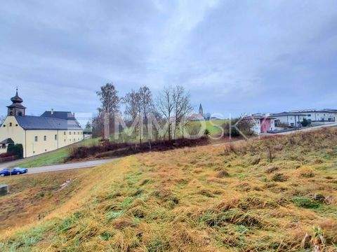 Eggendorf im Traunkreis Grundstücke, Eggendorf im Traunkreis Grundstück kaufen