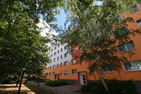 Lutherstadt Wittenberg Wohnungen, Lutherstadt Wittenberg Wohnung mieten