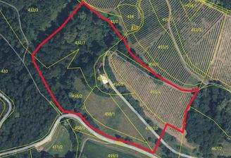 Gis-I +Teile vom Weingarten