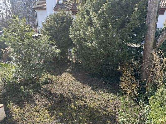 Blick in den Garten