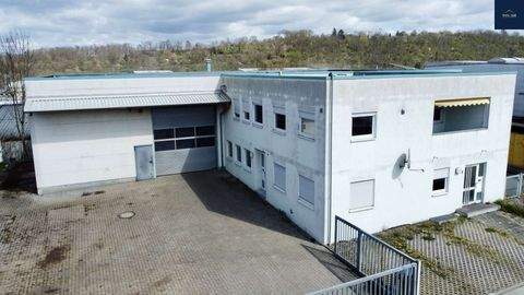 Remseck am Neckar Halle, Remseck am Neckar Hallenfläche