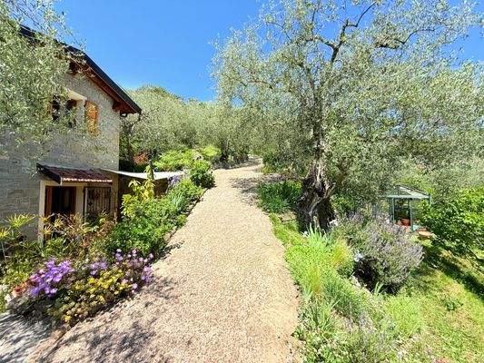 AP1010_06_TERRA ITALIA IMMOBILIEN_LIGURIEN_APRICAL