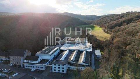 Bad Münstereifel Halle, Bad Münstereifel Hallenfläche