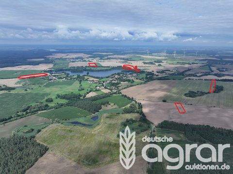 Müncheberg / Obersdorf Bauernhöfe, Landwirtschaft, Müncheberg / Obersdorf Forstwirtschaft