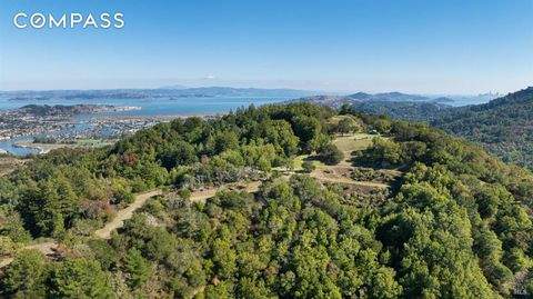 Kentfield Bauernhöfe, Landwirtschaft, Kentfield Forstwirtschaft