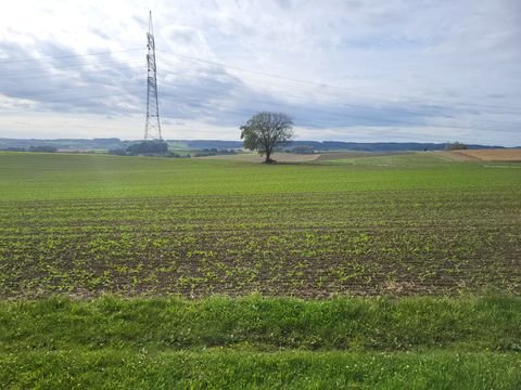 Lengdorf Bauernhöfe, Landwirtschaft, Lengdorf Forstwirtschaft