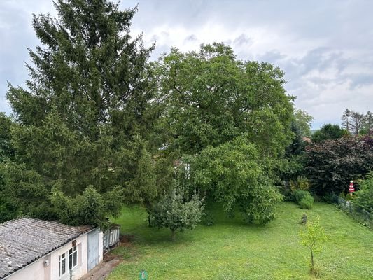 Blick auf Garten