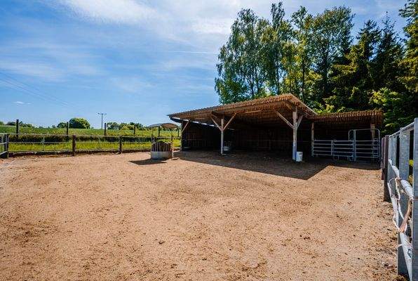 20250514-DSC00204-SJ Photography (Selina Jakob)