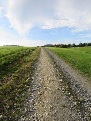 weitere Zufahrt über geschotterten Weg 