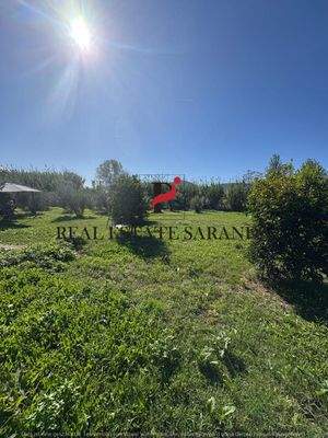 WhatsApp Image 2025-10-30 at 11.44.15 (3).jpeg