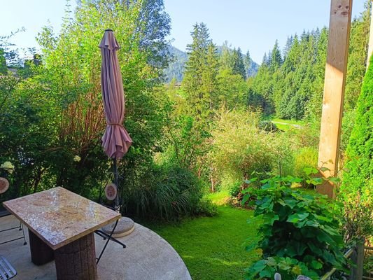 Blick in den Garten