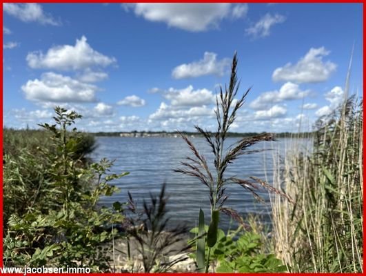 Mit Blick auf die Schlei