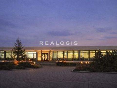 Offenburg Halle, Offenburg Hallenfläche