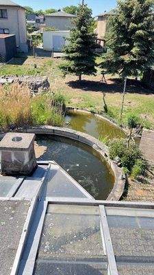 Pool Blick von der Dachterrasse