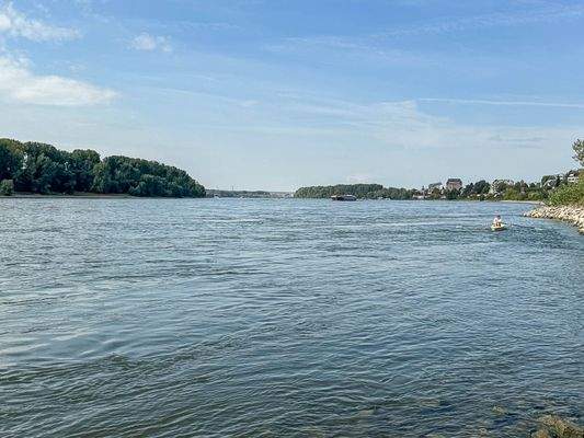 Rhein