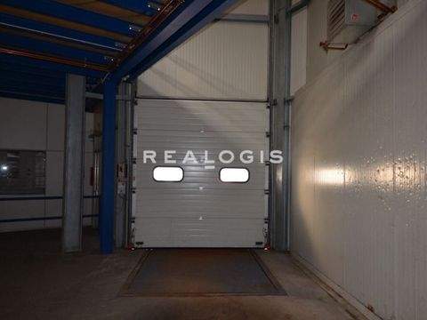 Berlin Halle, Berlin Hallenfläche