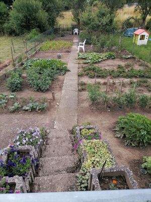 Garten.jpg