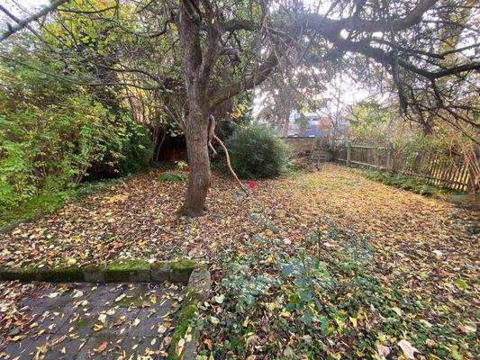 Garten hinter dem Haus (2).jpg