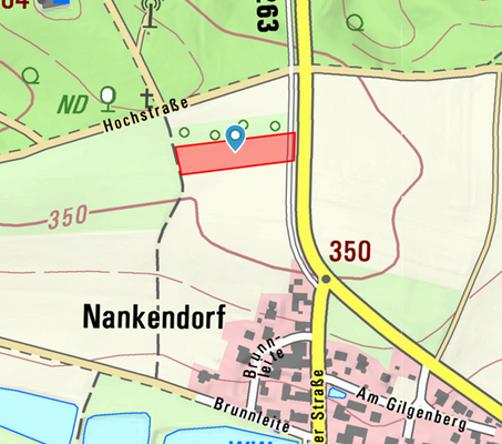 Flurstück 923 Gemarkung Hammerbach