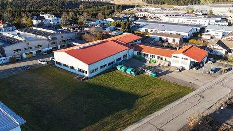 Frittlingen Halle, Frittlingen Hallenfläche