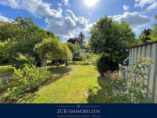 Albrecht-Dürer 22 007