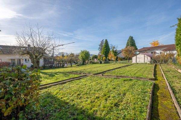 Garten hinter dem Haus