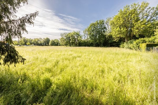 Baugrundstück in Daglfing