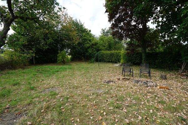 ...wartet auf den grünen Daumen