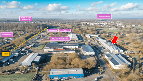 Bad Doberan Halle, Bad Doberan Hallenfläche