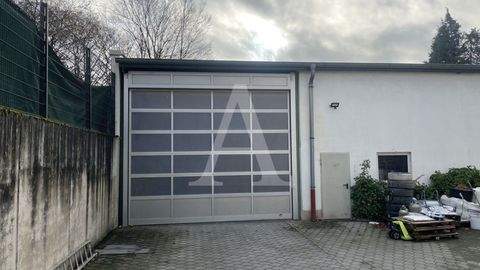 Köln Halle, Köln Hallenfläche