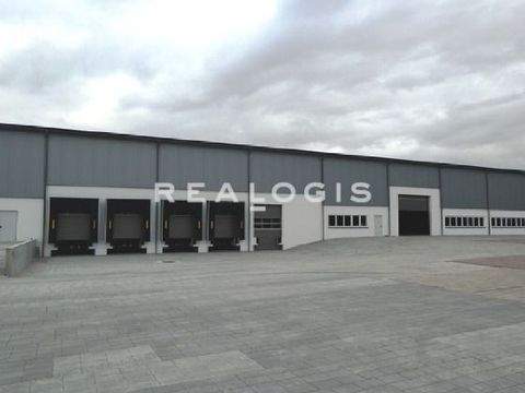 Pfungstadt Halle, Pfungstadt Hallenfläche