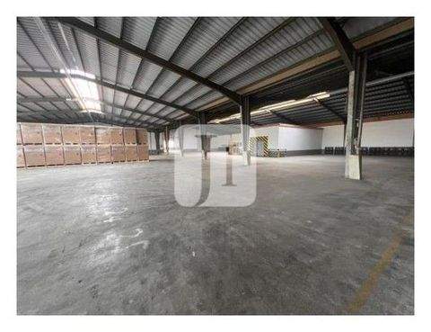 Winsen Halle, Winsen Hallenfläche