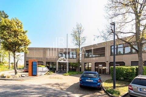 Düsseldorf Halle, Düsseldorf Hallenfläche